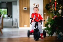 Lionelo Haari - Driewieler - Drankhouder - 2in1 - Tot 36+ -Kinderwagens Kortingswinkel 1200x799 12