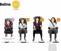 Nania - Autostoel BELINE Animals - Groep 1/2/3 - Meegroeistoel - Van 9 Tot 36 Kg - FLAMINGO -Kinderwagens Kortingswinkel 1200x995