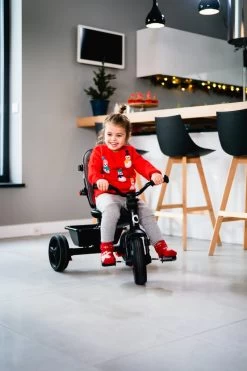 Lionelo Haari - Driewieler - Drankhouder - 2in1 - Tot 36+ -Kinderwagens Kortingswinkel 800x1200 22