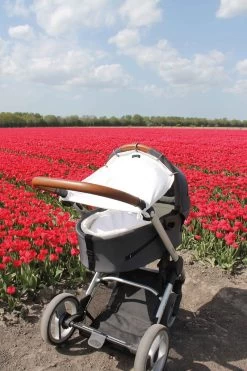 Dooky Universal Cover Zonnescherm Kinderwagen - Crème -Kinderwagens Kortingswinkel 800x1200 9