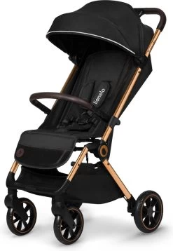 Lionelo Buggy Cloe - Kinderwagen Premium + - Tot 22 Kg - Verstelbare Rugleuning - 5-punts Veiligheidsgordels - Grote Zwenkwielen - Klamboe - Bekerhouder - Lichtgewicht - Compact - Waterdicht -Kinderwagens Kortingswinkel 829x1200 5