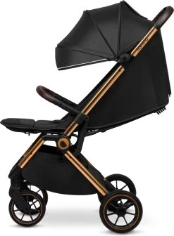 Lionelo Buggy Cloe - Kinderwagen Premium + - Tot 22 Kg - Verstelbare Rugleuning - 5-punts Veiligheidsgordels - Grote Zwenkwielen - Klamboe - Bekerhouder - Lichtgewicht - Compact - Waterdicht -Kinderwagens Kortingswinkel 881x1200 2